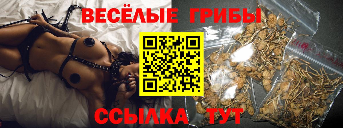 Псилоцибиновые грибы мухоморы Советск